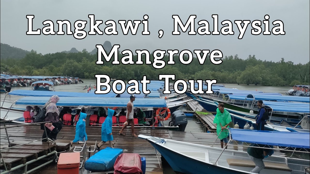 Langkawi Mangrove Boat Tour 🚤 Beautiful Views & Full Speed Adventure!