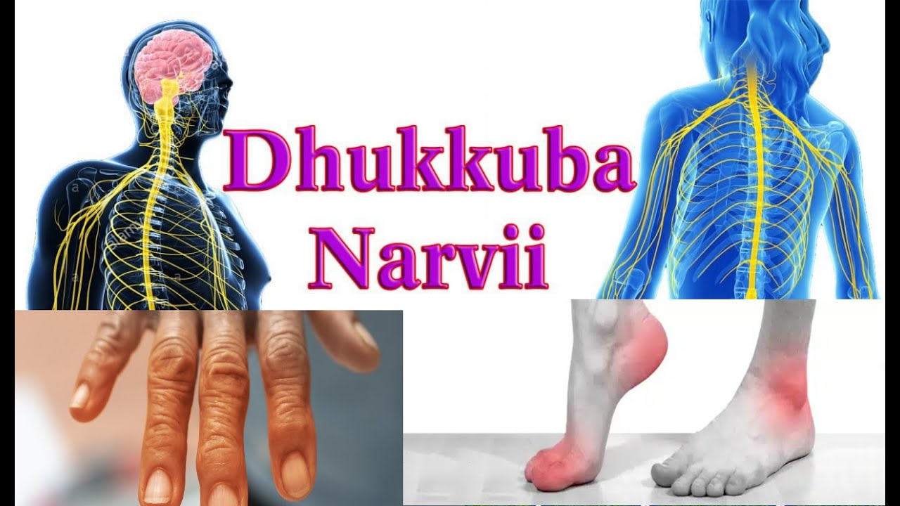 DHIBEE NERVII - Maaltu fida, Mallattoo fi  Furmaata