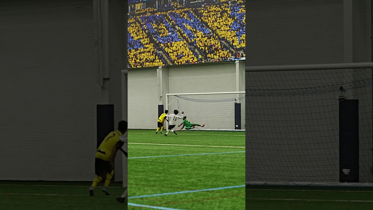 Great save by the Borussia Dortmund star GK