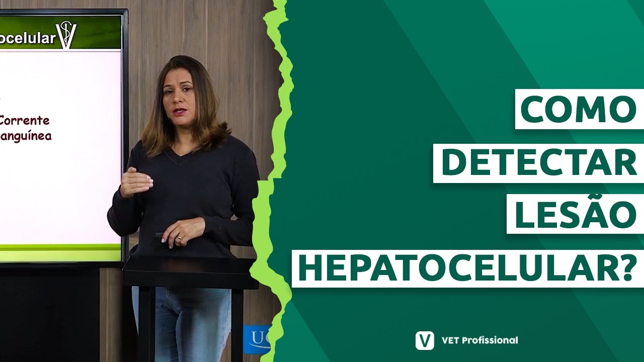 Teste para detecção de lesão hepatocelular em animais domésticos