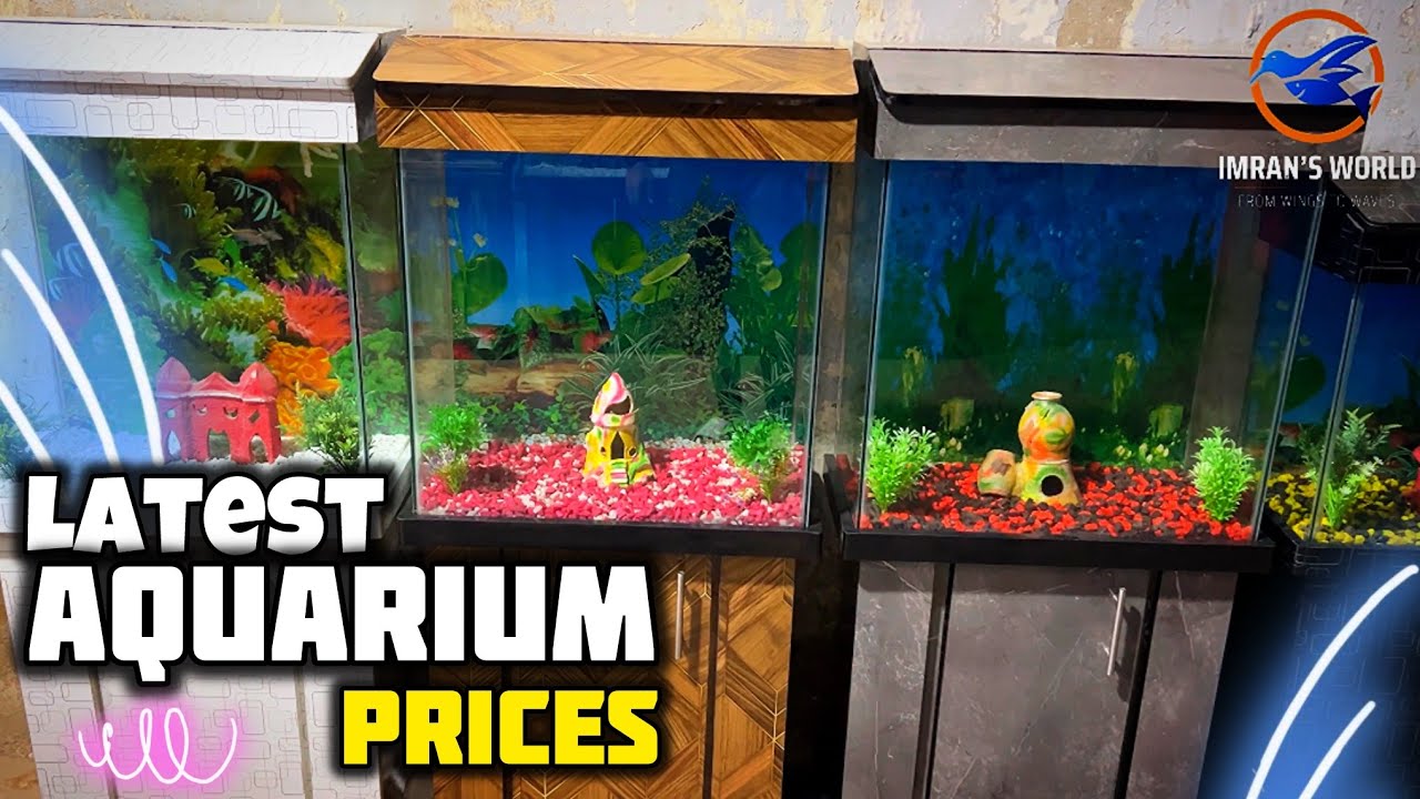 Latest Fish Aquarium Prices Oct 2024 | ST Aqua Marine Shop Lalukhet Aquarium Market - Imran's World