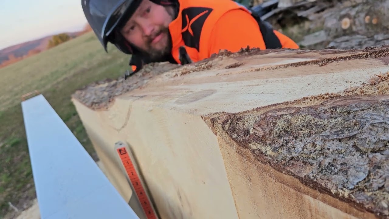 Logosol F2 + vs giant log