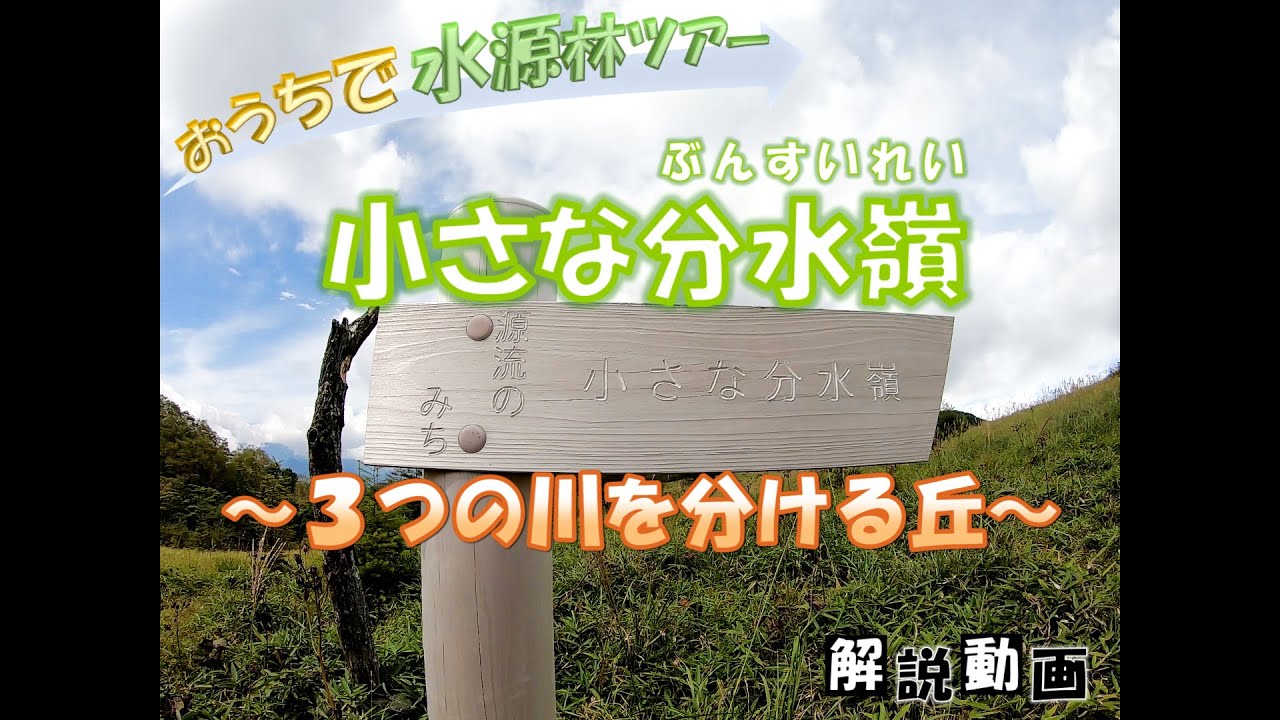【おうちで水源林ツアー】小さな分水嶺～3つの川を分ける丘～
