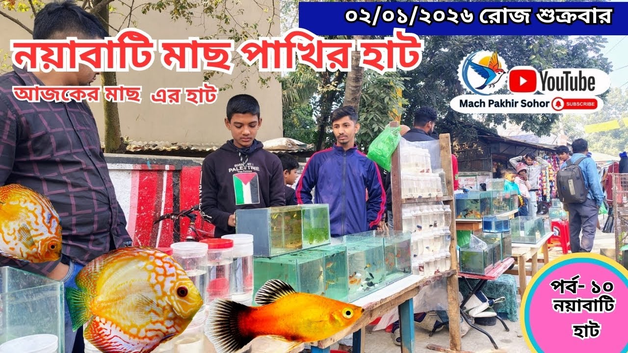 সবথেকে বড় মাছ পাখির হাট পর্ব-১০ Largest aquarium #fish market #khulna খালিশপুর,নয়াবাটি , খুলনা