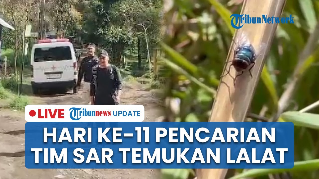 🔴LIVE: Petunjuk Baru di Hari ke-11 Pencarian Pendaki Mongkrang Hilang: Temuan Lalat di Pos Candi 1