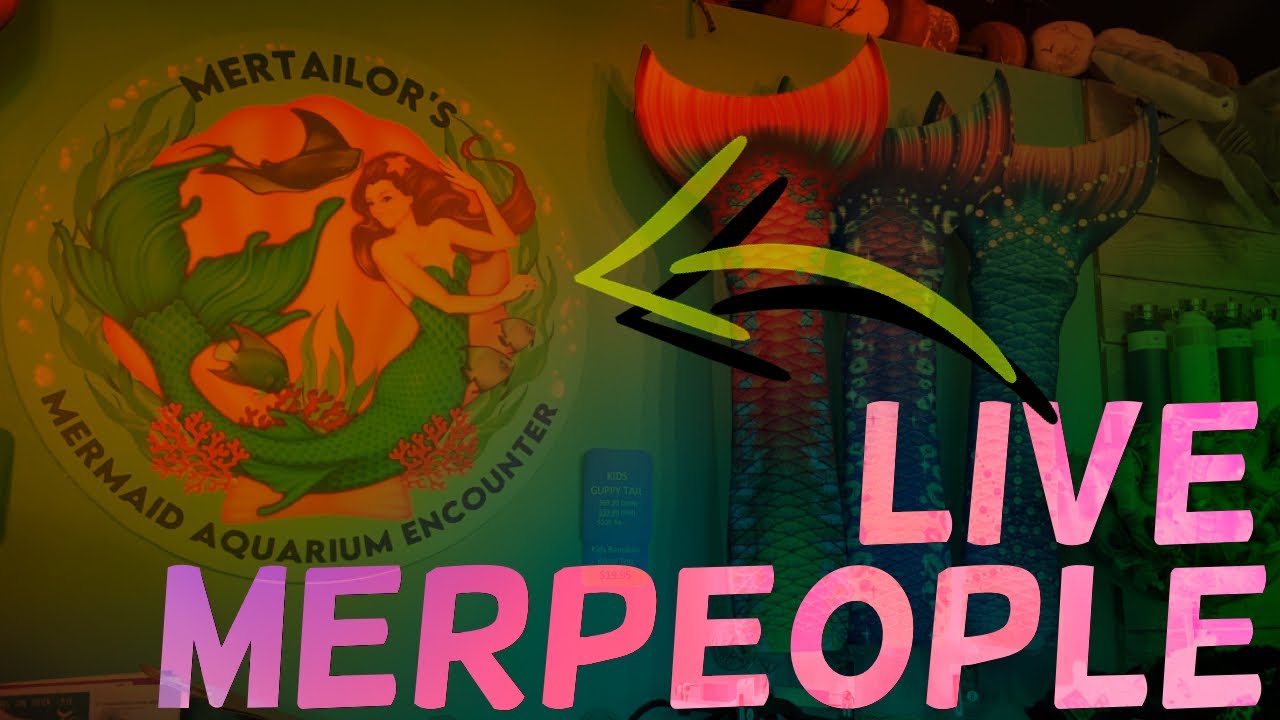 Inside The Mertailor’s Mermaid Aquarium Encounter featured on the Netflix series MerPeople