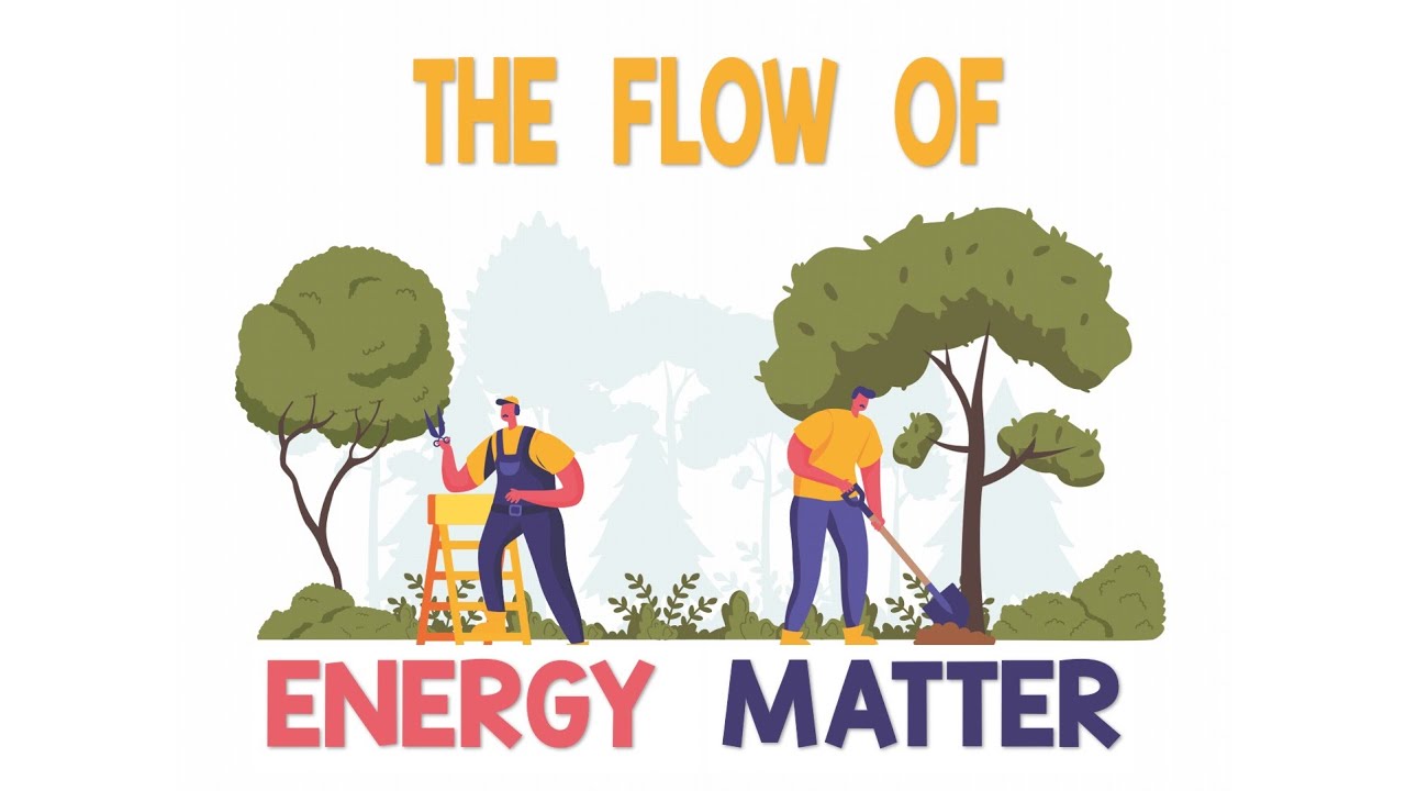 Flow of Energy Matter | Animation