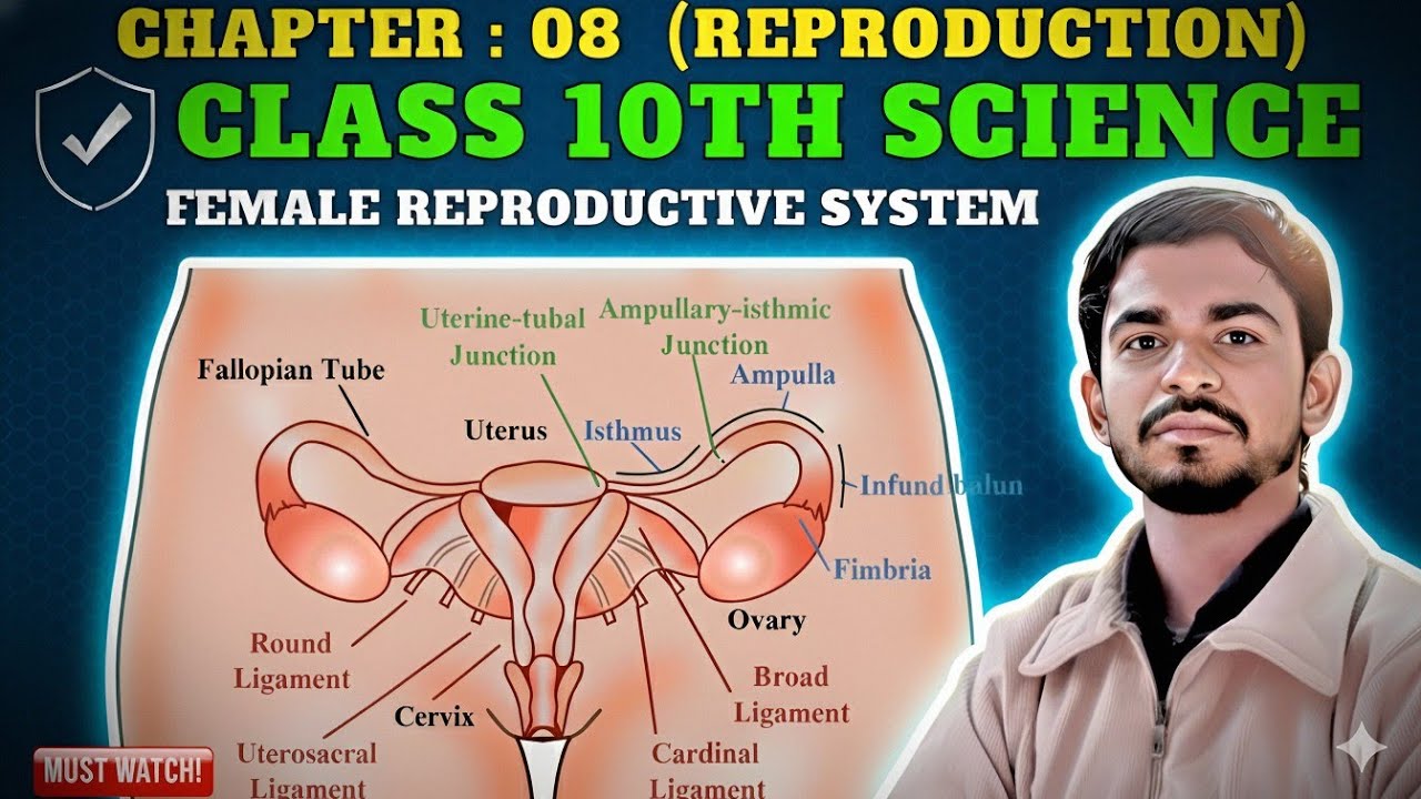 Female Reproductive System #cbse #boardexam #reproduction #female 