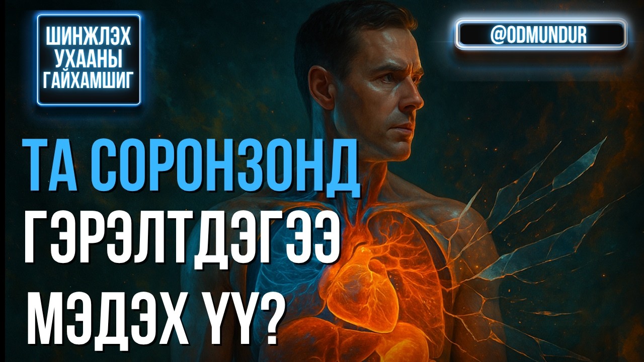 Та соронзонд гэрэлтдэгээ мэдэх үү? - ШИНЖЛЭХ УХААНЫ ГАЙХАМШИГ