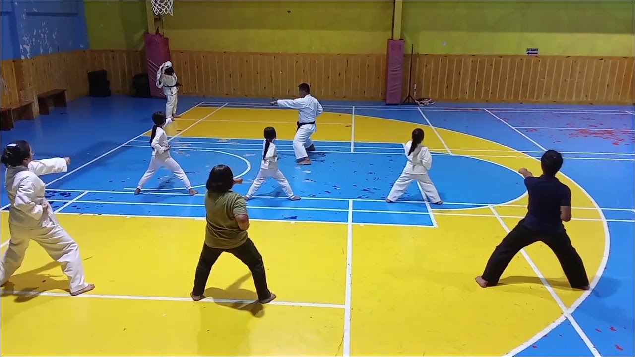 Karate with QRS and T (Still Deciding)
