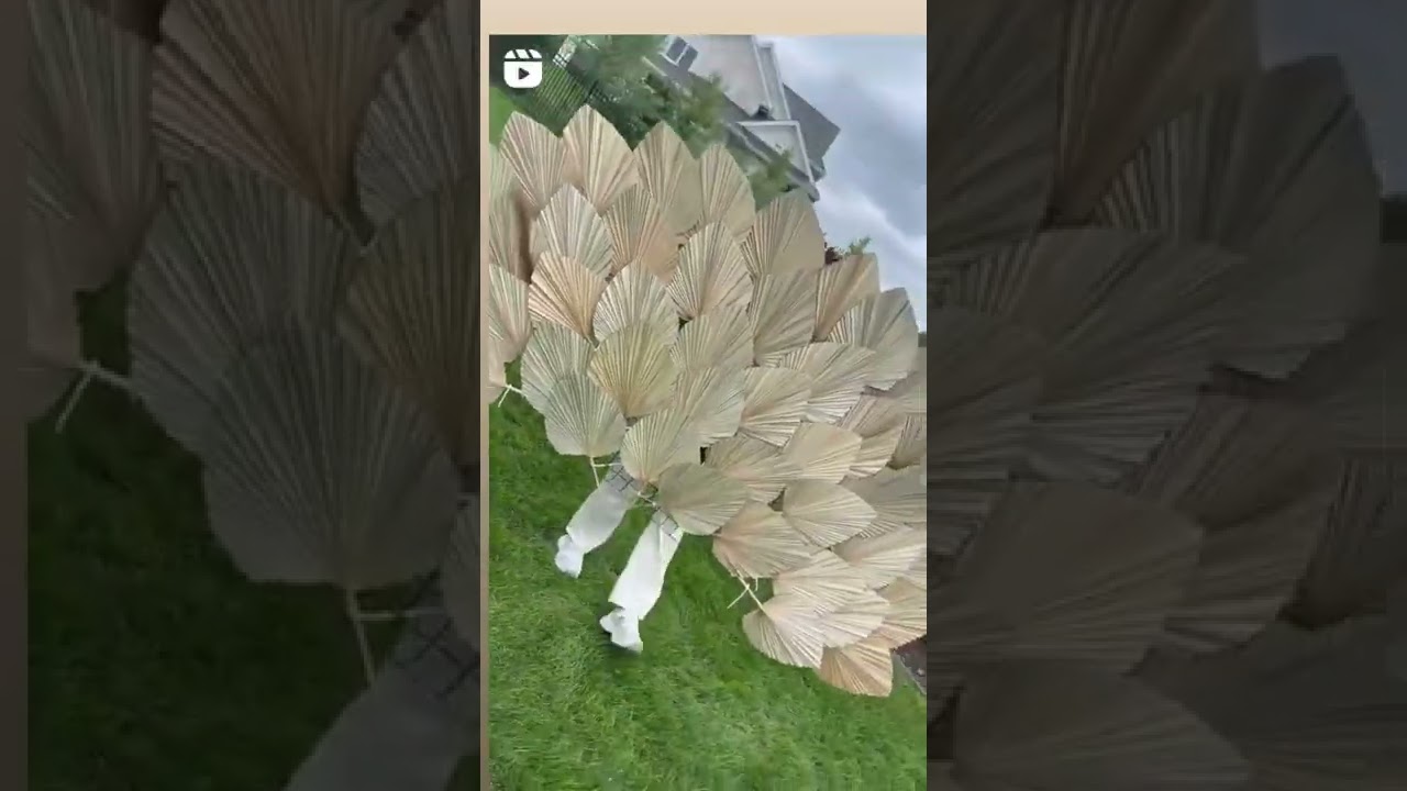 Natural palm leaf  Available at India Artisan