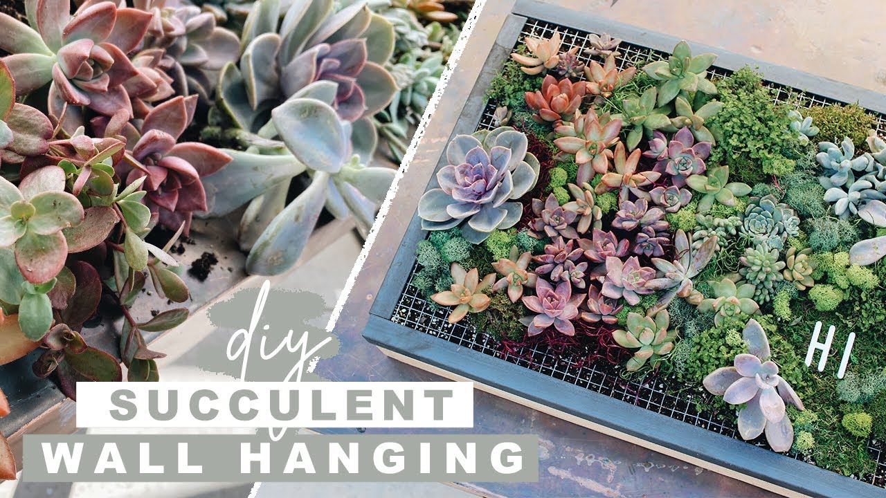 DIY Succulent Wall Planter | Easy Woodworking Project