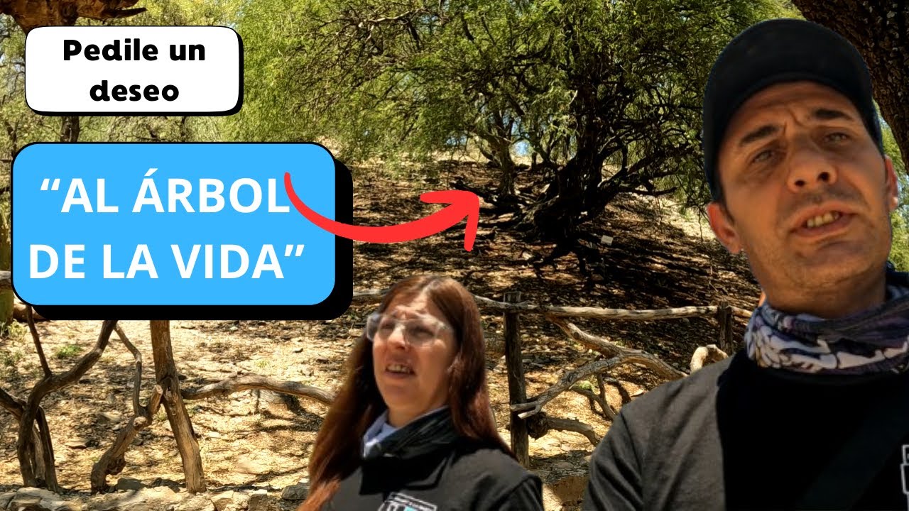 🏍️ Viaje en moto por el Bajo de Véliz, Santa Rosa del Conlara y Cortaderas | San Luis.