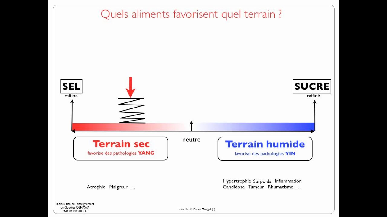 Introduction &agrave; la Macrobiotique