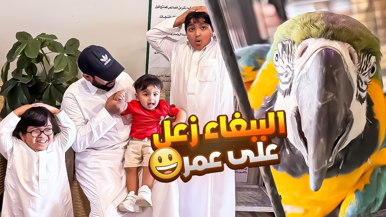 البساسه تضاربن والببغاء زعل على عمر 🤣