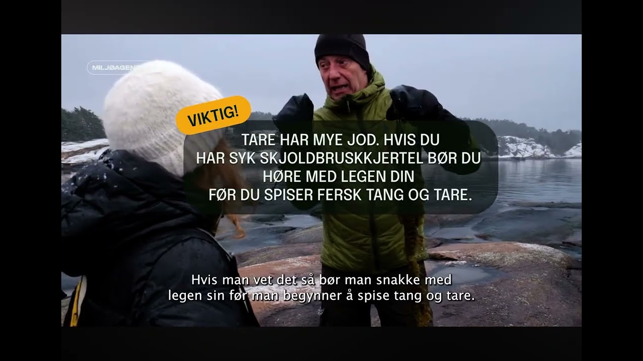 Miljøagentene hos Ting med Tang 2025