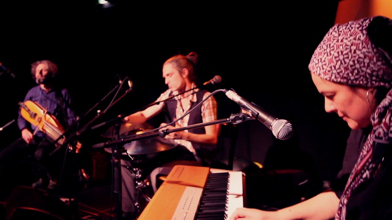 Robin Gillard - PRIMROSE live
