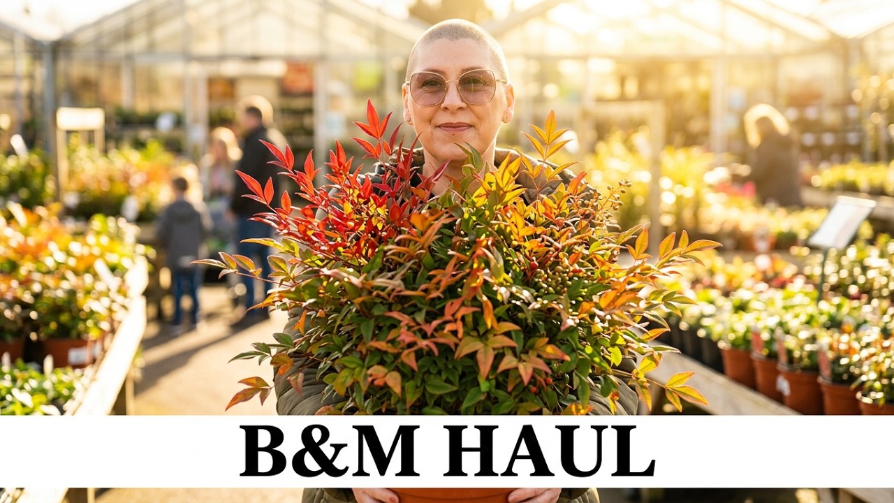 187. Весенние растения: новинки в магазинах B&M и Zoar's Garden Centre.