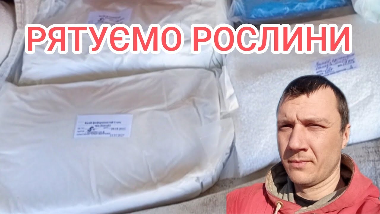 Які добрива потрібні для городу навесні? 🧐 Суперфосфат, аміачна селітра та мій набір огородника 2026