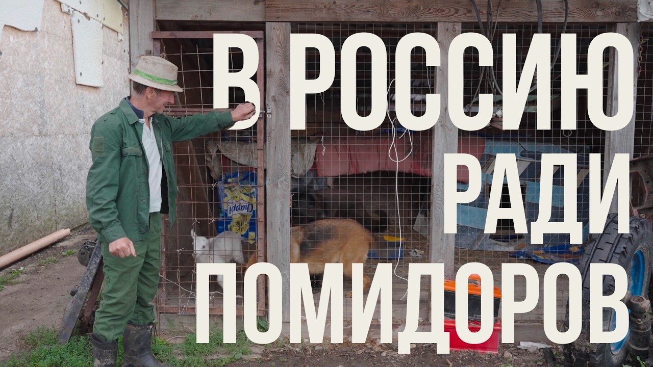 10 лет в поле без света и газа: Семья из Приднестровья строит ферму под Калугой