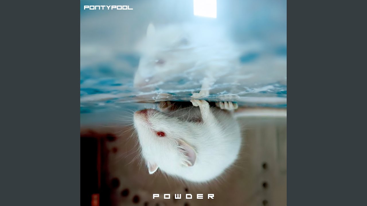 Powder