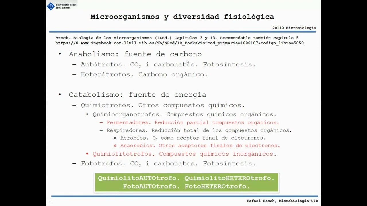 Metabolismo 01 2022 23