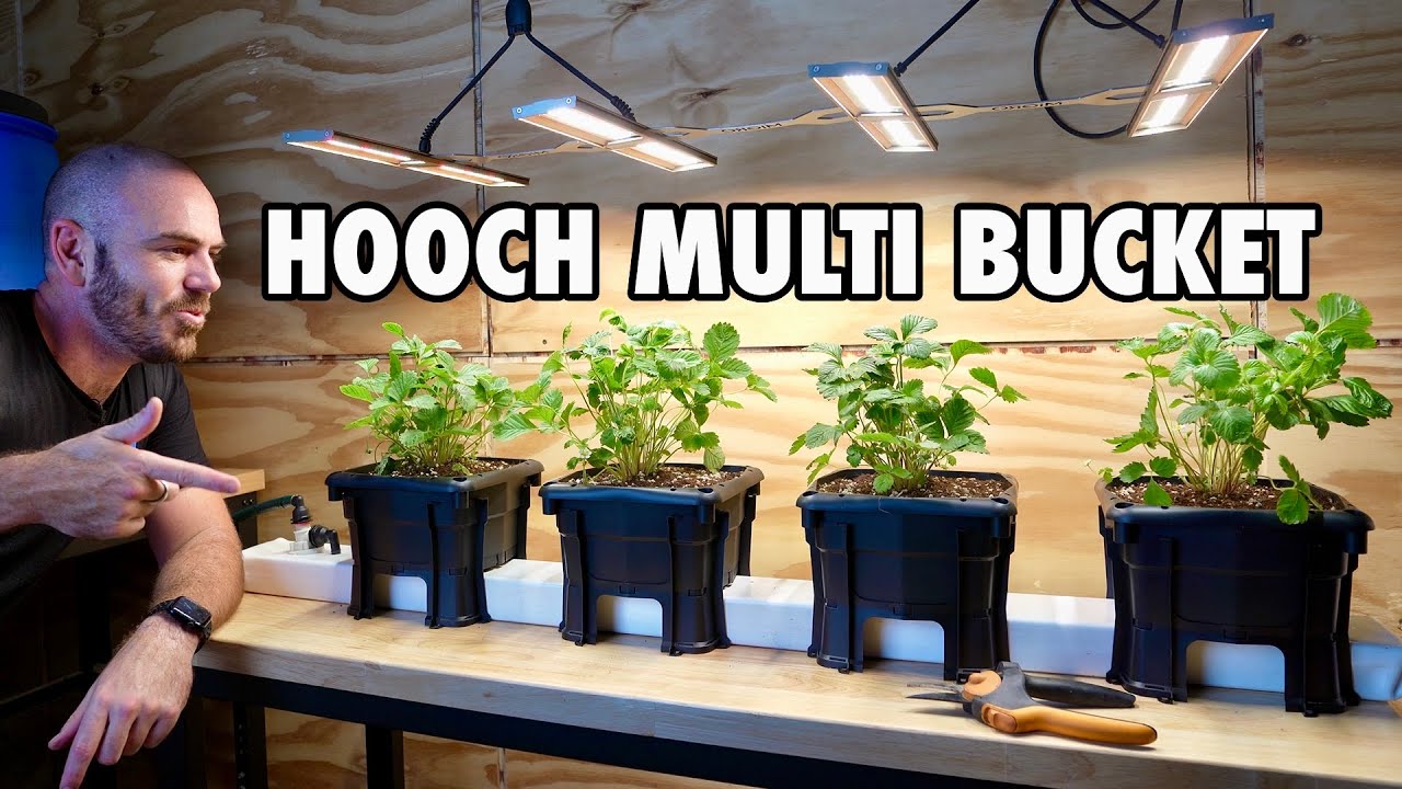 Представляем многоведровую гидропонную систему Hooch