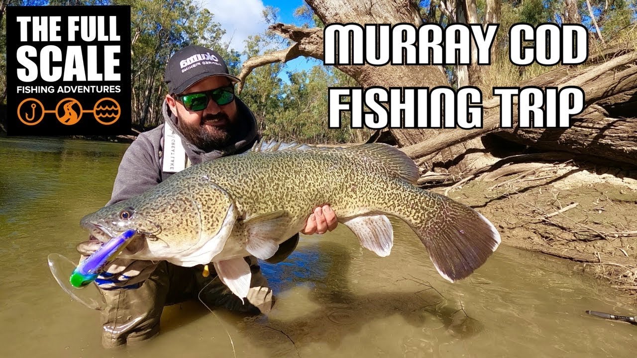 Рыбалка на треску в Мюррее | Полная версия