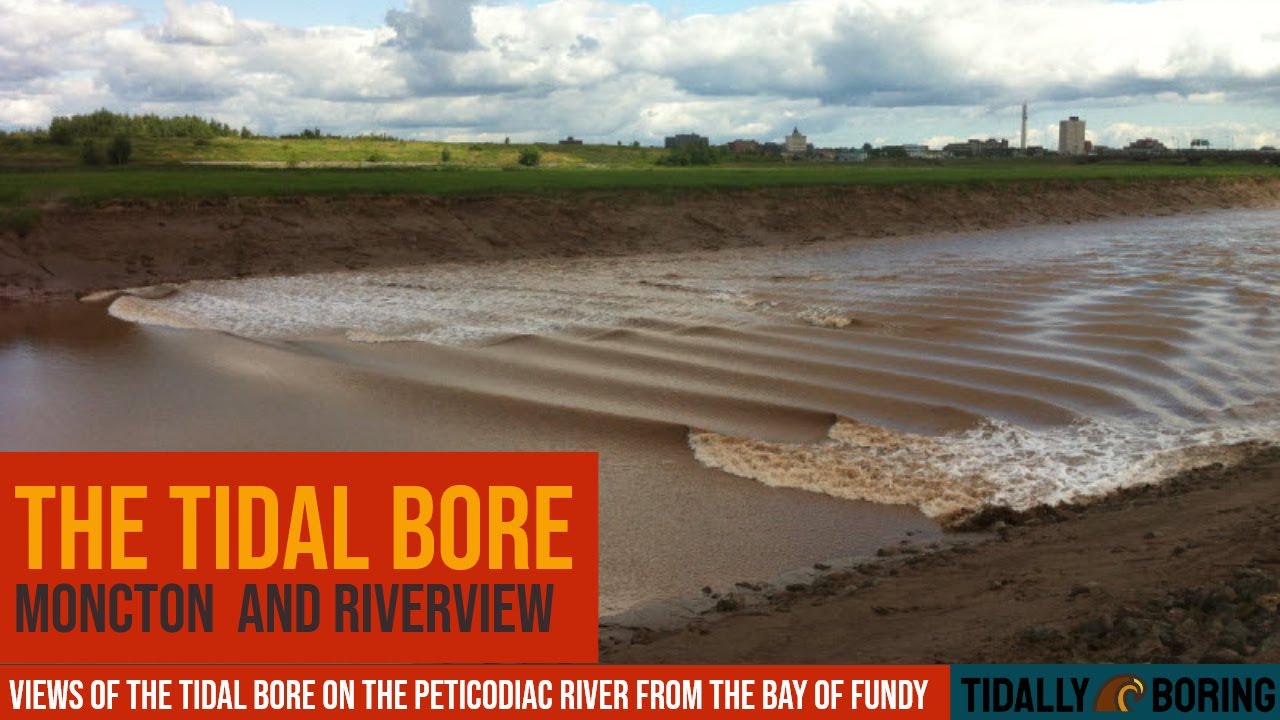 The Tidal Bore in Moncton - Riverview