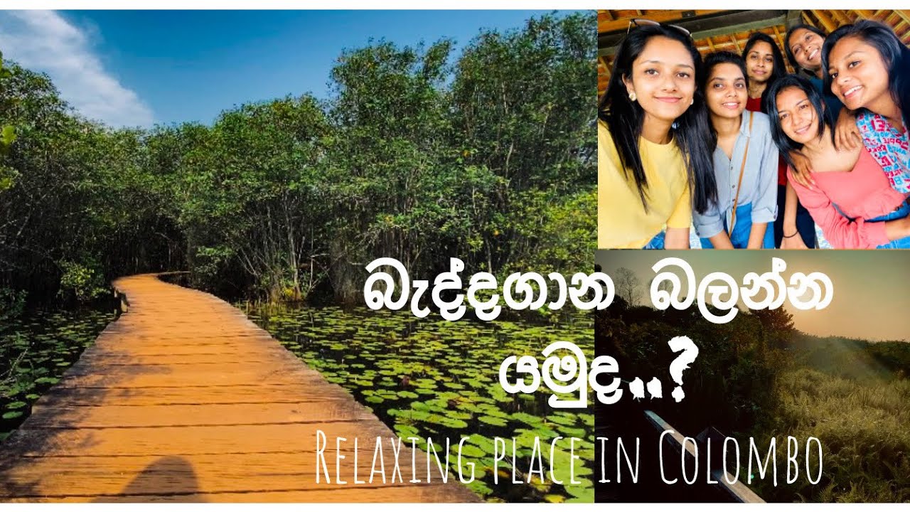 Beddagana wetland park | Relaxing place in Colombo | chipmunks |