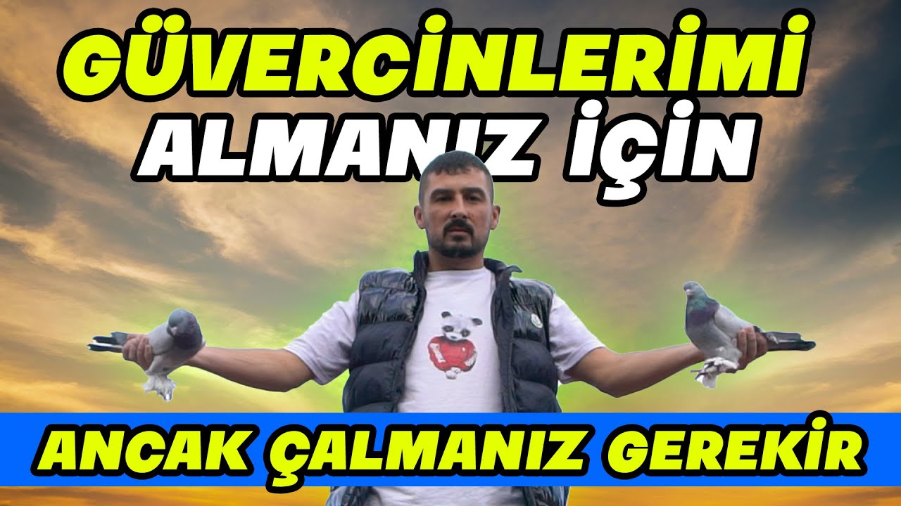 "Ankara Kuşu&Mardin Kuşu Eşlemesinden Gelen STAR Kuşlar!" | İbrahim Özdemir Kümes Ziyareti + Uçum