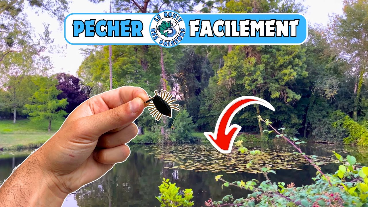 Pêche du Black Bass à l’INSECTE en surface