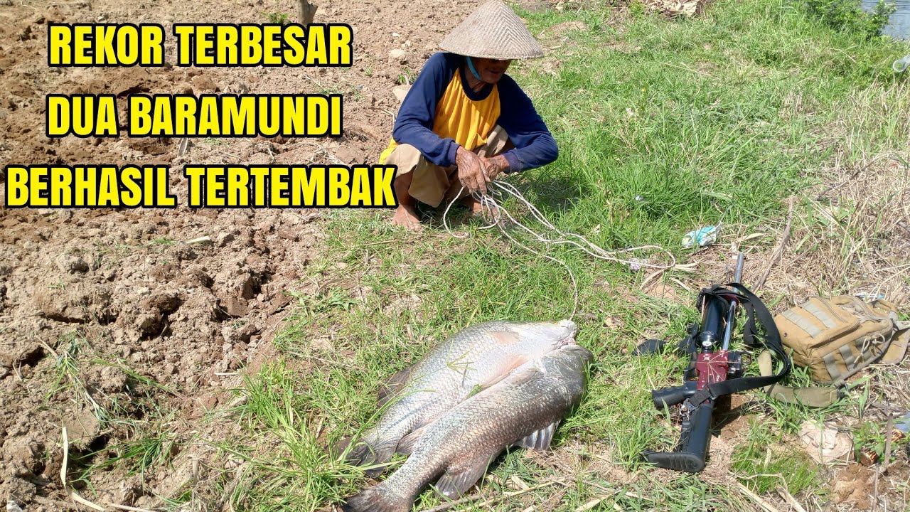 Top one Naiknya 2 monster baramundi di sungai sengkareng ( Paser ikan kakan monster )