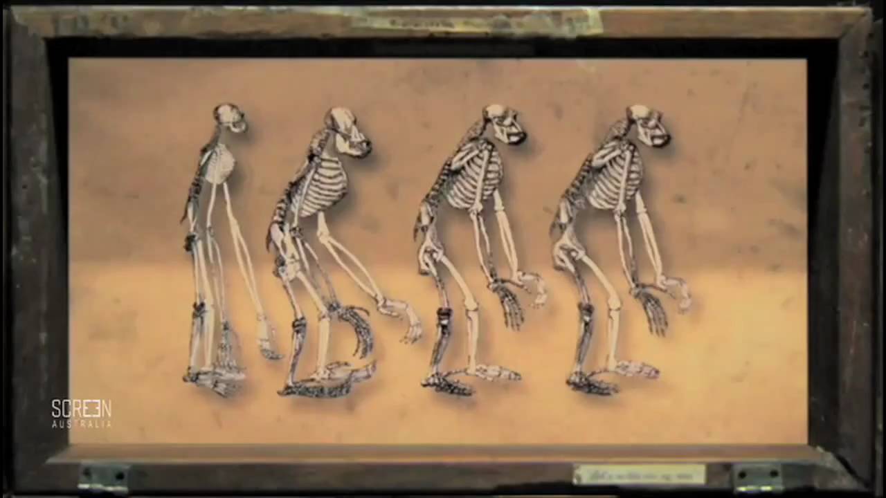 A Dangerous Idea | Charles Darwin's Brave New World
