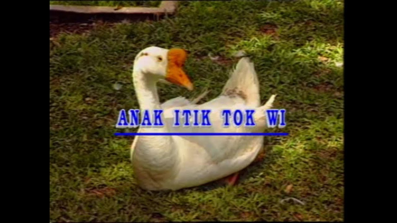 Lagu Kanak-Kanak - Anak Itik Tok Wi