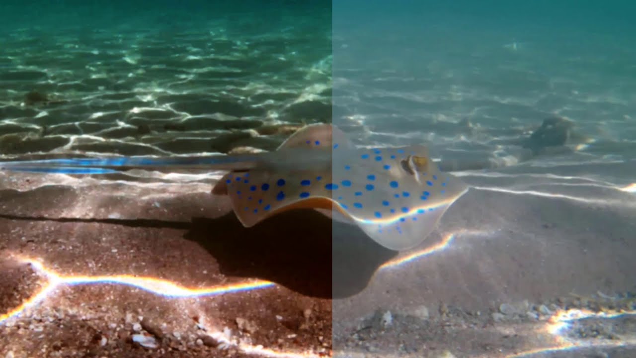 proDAD Mercalli v6 -  Improve colors and contrast of videos and add film look