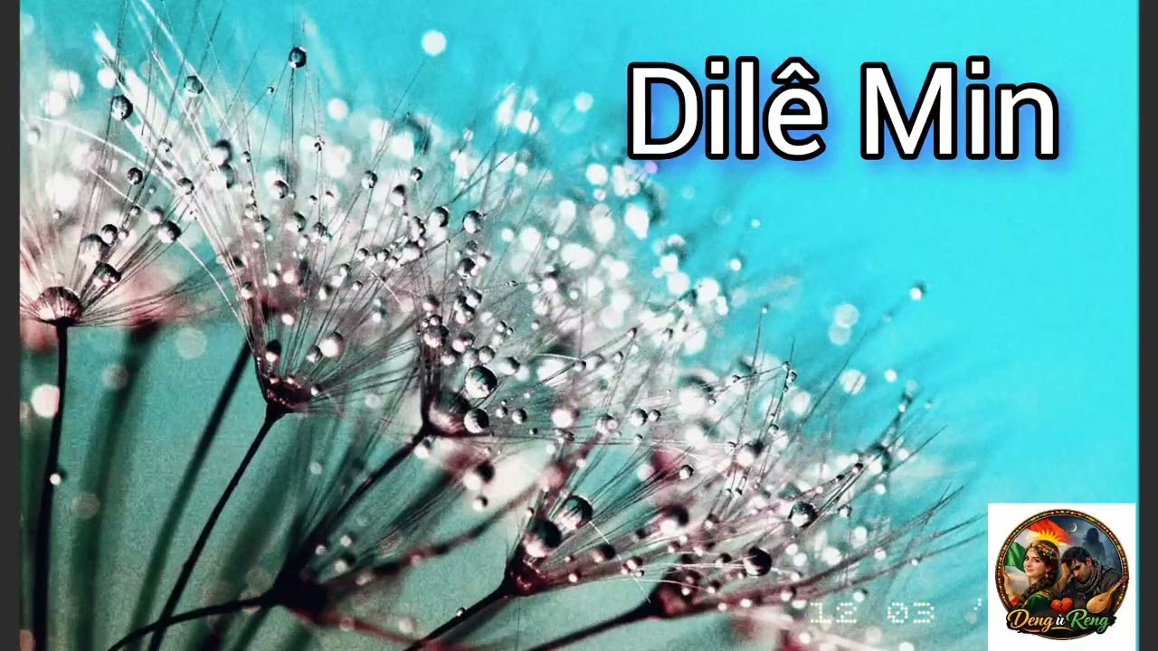 Dilê Min, ❤️♥️ انت قلبي 