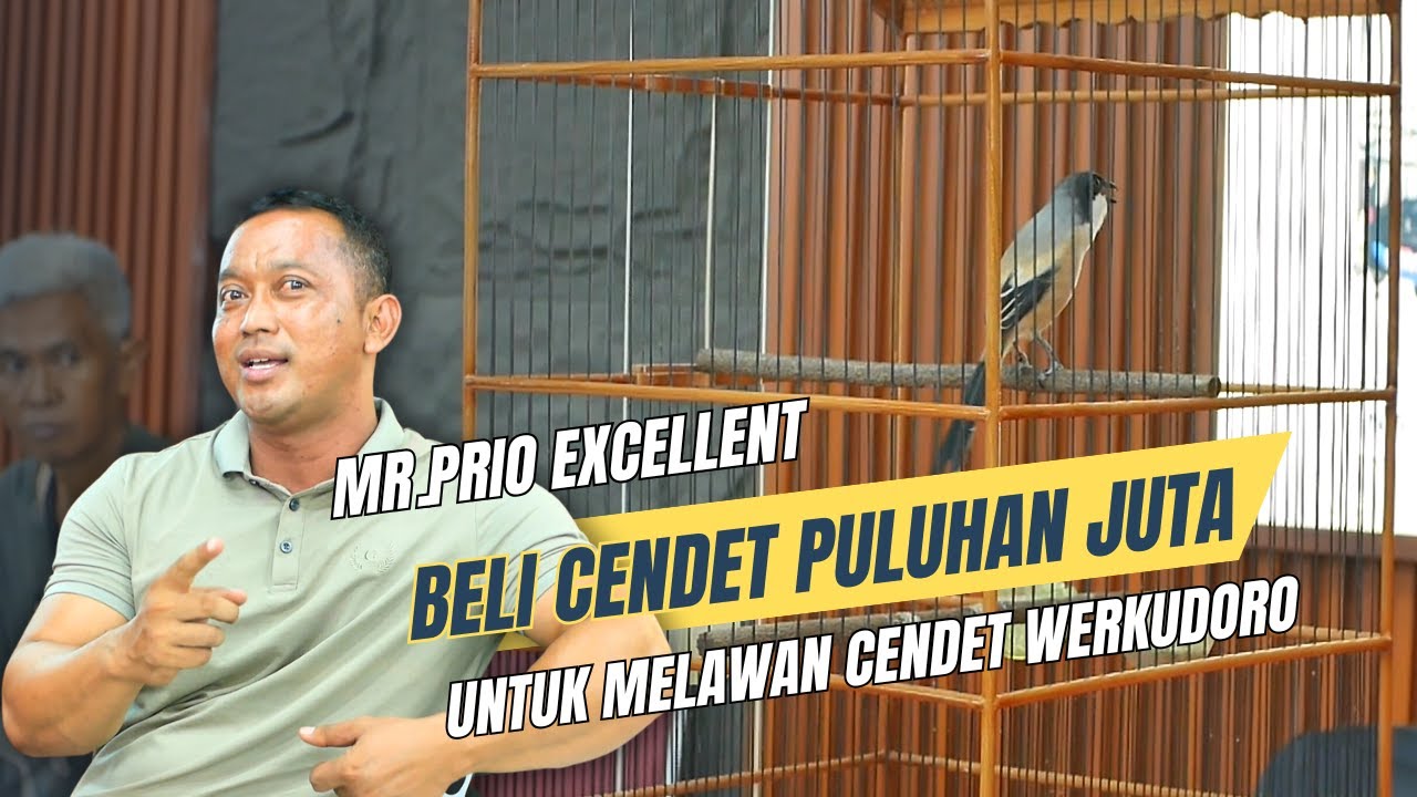 Mr. Prio Excellent Main Cendet, OTW Gass Ke timur