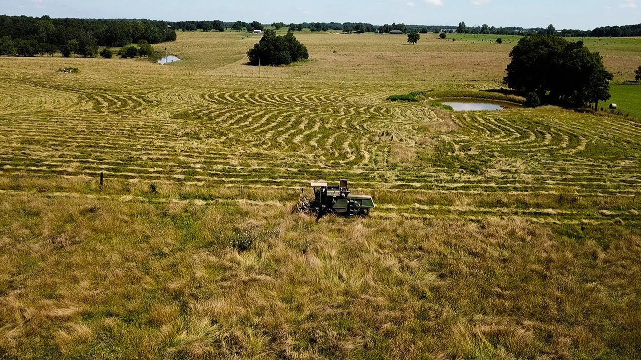 Harvesting Fescue Seed in Missouri!