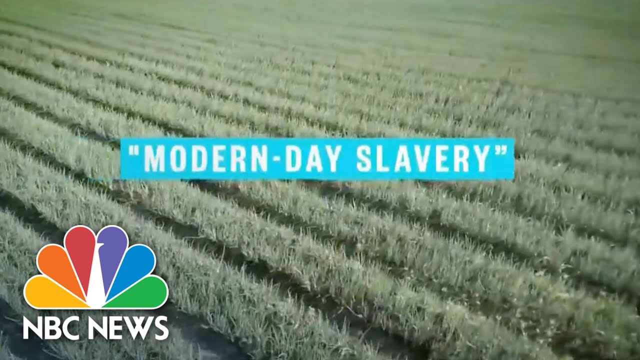 Modern-Day Slavery Ring Busted In GA: How Federal H-2A Visa Programs Can Lead To Exploitation