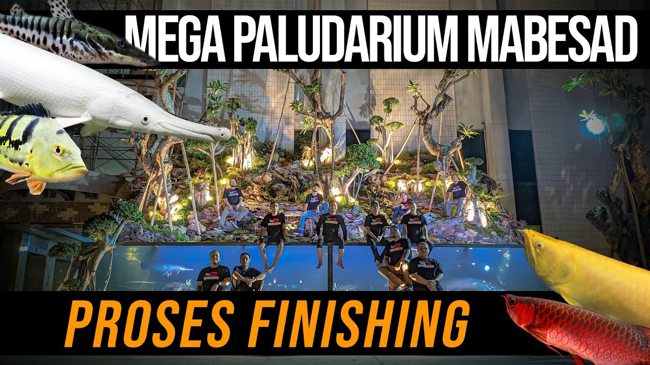 MEGA PALUDARIUM MABESAD - Part 5 Detailing, Planting & Pengisian Ikan