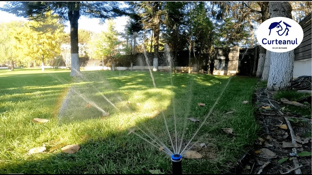 Amenajare gradina cu plante, arbusti si gazon + alei din piatra in suprafata totala de 1600 mp.