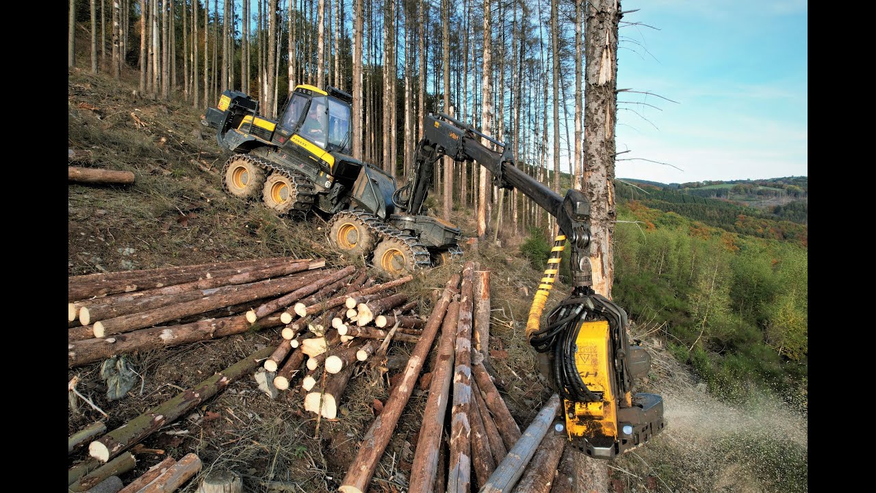 🌲4K|*Ergo in slope* • Ponsse Ergo & Herzog Winch • HarvesterAction • DroneView • Alterauge • Part-1🌲