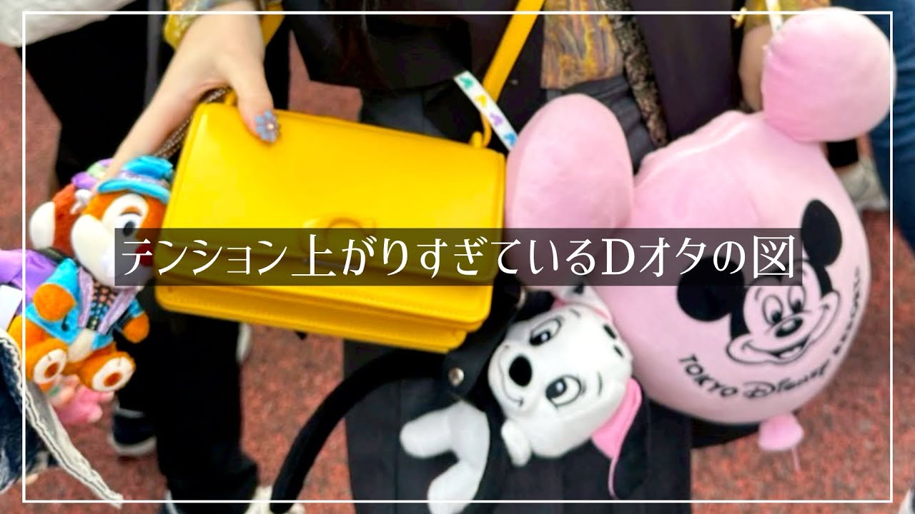 【持ち物紹介】どこに需要があるかわからないDisney戦闘物品紹介