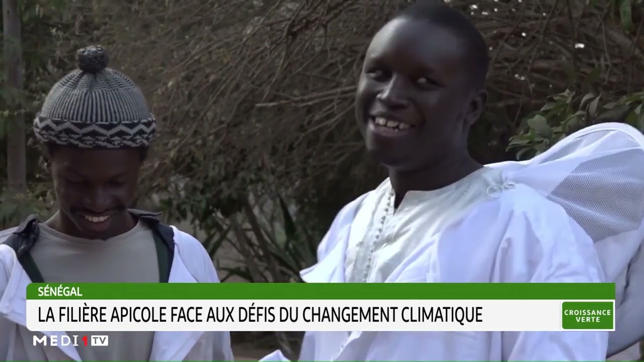 #CroissanceVerte .. Sénégal: la filière apicole face aux défis du changement climatique