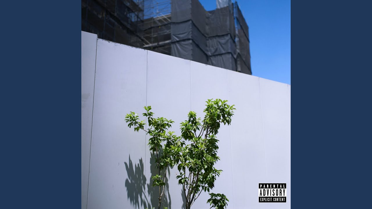 Roots&Leaves (feat. 柊人, in-d & NF Zessho) [Remix]