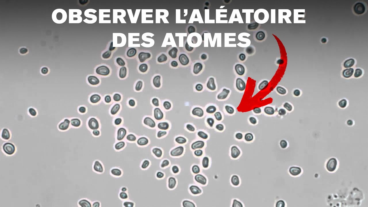 Le mouvement brownien expliqué en 8 min 14