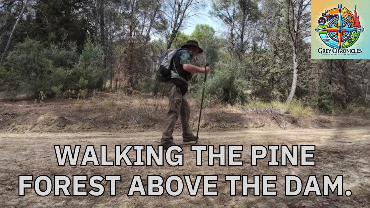 Walking the pine forest above the dam