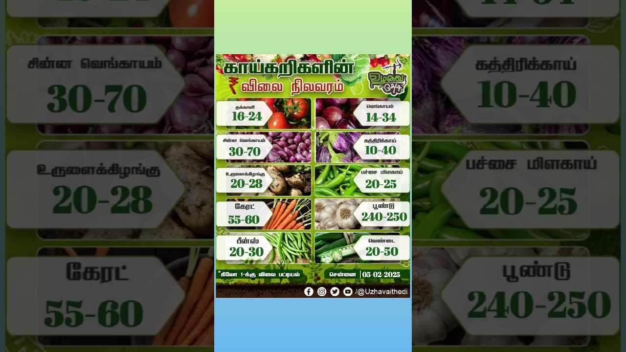 Vegetable Price  Today! What You Need to Know 🥦🔥#vegetables #market #fruit #farmersmarket #chennai