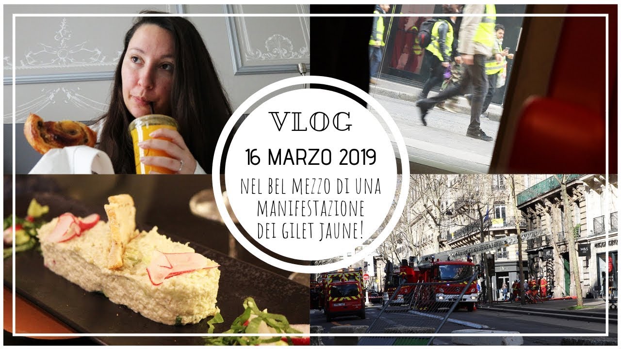 NEL BEL MEZZO DI UNA MANIFESTAZIONE DEI GILET JAUNE! Vlog 16 Marzo 2019